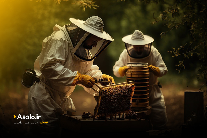 روشهای افزایش تولید عسل