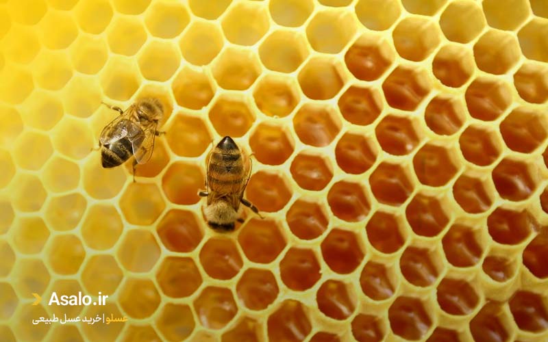 فرآورده های زنبور عسل