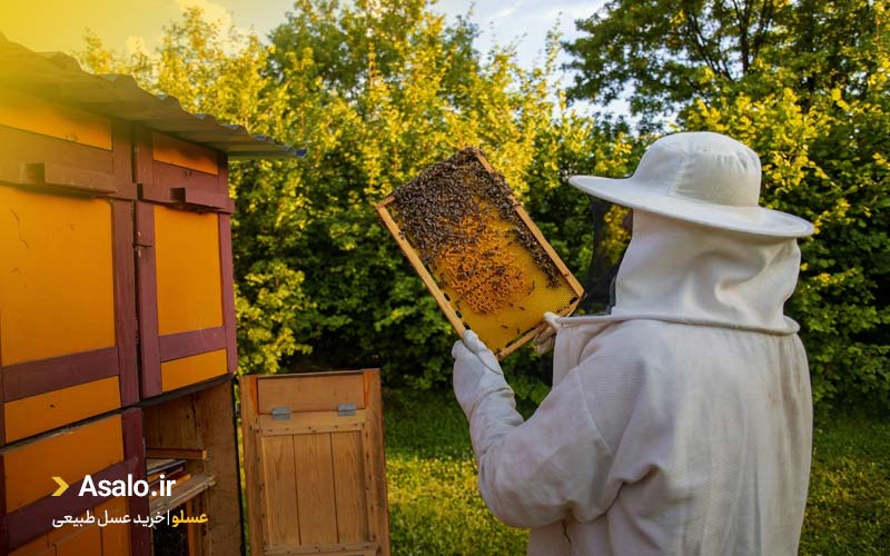 علت تغییر رنگ عسل چیست؟