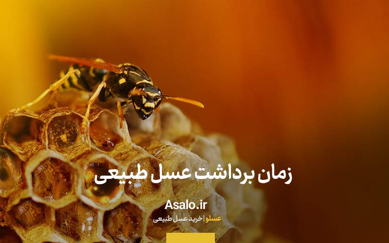 زمان برداشت عسل طبیعی