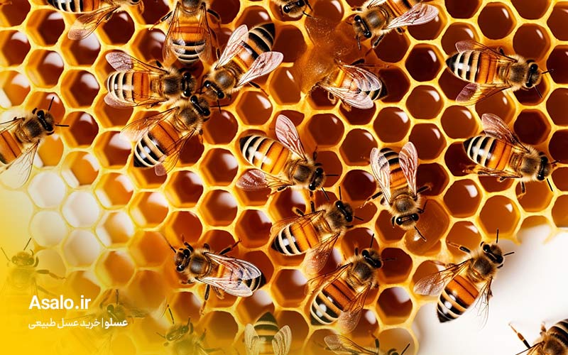 آیا عسل برای آسم مفید است؟
